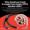 Nakamichi Banana Plug Cable 24k Gold OFC 6ft Black-2