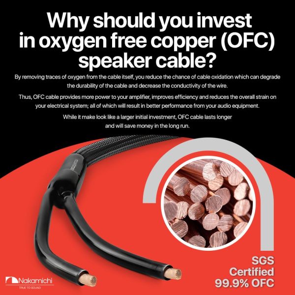 Nakamichi Banana Plug Cable 24k Gold OFC 6ft Black-2