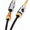 Amazon Basics 6ft Audio Cable Gold Plated Banana Plug CL2 Rated-3