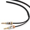 Amazon Basics 6ft Audio Cable Gold Plated Banana Plug CL2 Rated-1