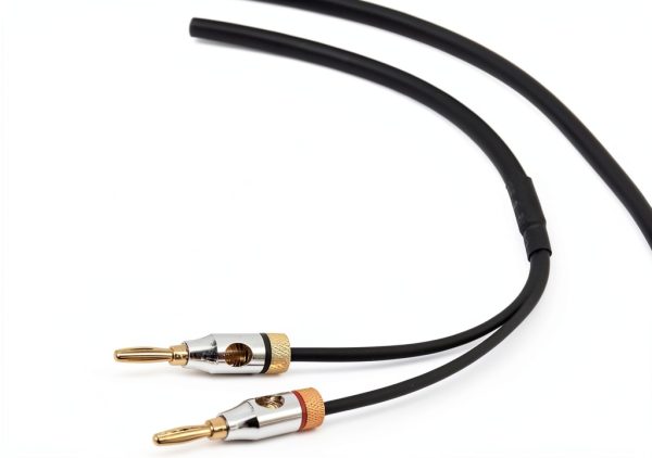 Amazon Basics 6ft Audio Cable Gold Plated Banana Plug CL2 Rated-1